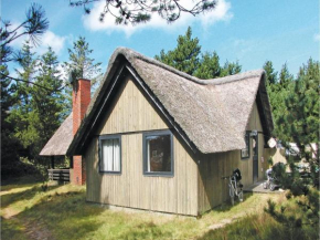 Holiday home Møllehusvej Blåvand V